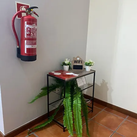 Apartment Alojamento Ferreira Aveiro