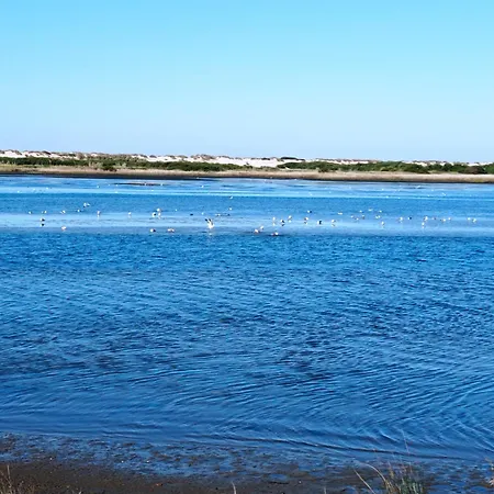 Lejlighed Alojamento Ferreira Aveiro