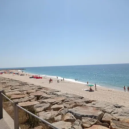 Alojamento Ferreira *