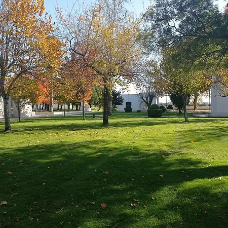 Lejlighed Alojamento Ferreira *