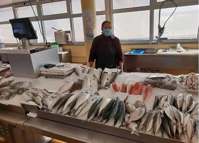 Alojamento Ferreira Appartement Aveiro