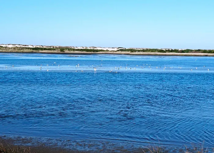 Appartement Alojamento Ferreira Aveiro