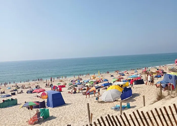 Alojamento Ferreira *